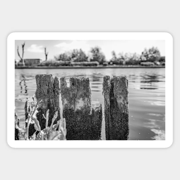 Wooden mooring posts, River Bure, Horning Sticker by yackers1